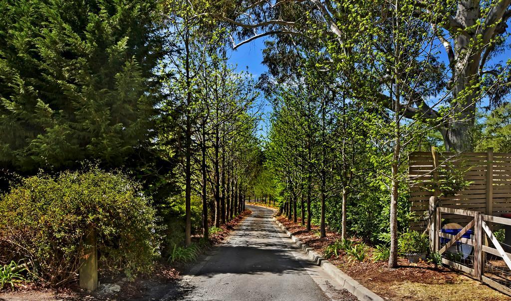 Bundanoon Lodge Екстер'єр фото